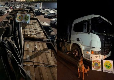 A&ccedil;&atilde;o conjunta da Pol&iacute;cia Militar e da Pol&iacute;cia Federal ocorreu na zona rural; carga foi avaliada em R$ 2 milh&otilde;es