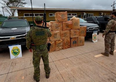 Produtos estavam escondidos em meio &agrave; vegeta&ccedil;&atilde;o, e a apreens&atilde;o representa preju&iacute;zo estimado em R$ 40 mil &agrave;s atividades criminosas