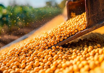 Confira a cota&ccedil;&atilde;o das principais culturas agr&iacute;colas da regi&atilde;o para essa segunda (5)