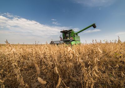 Confira a cota&ccedil;&atilde;o das principais culturas agr&iacute;colas da regi&atilde;o para essa ter&ccedil;a (27)