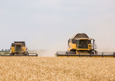 Confira a cota&ccedil;&atilde;o das principais culturas agr&iacute;colas da regi&atilde;o para essa quarta (7)