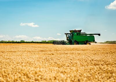 Confira a cota&ccedil;&atilde;o das principais culturas agr&iacute;colas da regi&atilde;o para essa quarta (21)