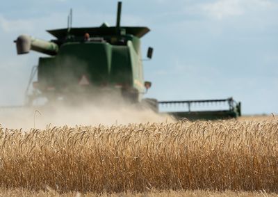 Confira a cota&ccedil;&atilde;o das principais culturas agr&iacute;colas da regi&atilde;o para essa segunda (26)
