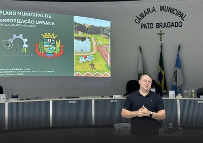 Audi&ecirc;ncia p&uacute;blica apresentou diretrizes para o plantio e a manuten&ccedil;&atilde;o de &aacute;rvores, e sugest&otilde;es da comunidade ser&atilde;o avaliadas antes da conclus&atilde;o do plano