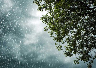 Temperaturas sobem gradualmente, e volumes de chuva podem se aproximar de 100 mm at&eacute; o fim da semana, com risco de tempestades