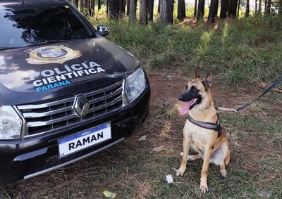 Raman &eacute; um dos &uacute;nicos do pa&iacute;s e auxilia investiga&ccedil;&otilde;es com alta precis&atilde;o