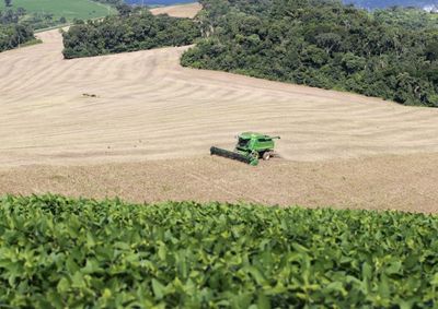 Dados preliminares do Governo do Estado apontam que o VBP passou de R$ 98 bilh&otilde;es em 2019 para R$ 212,6 bilh&otilde;es em 2025.
