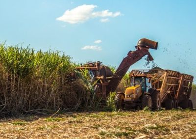 Mesmo com queda nos pre&ccedil;os de commodities como a&ccedil;&uacute;car e suco de laranja, aumento no volume embarcado garantiu resultado recorde nos primeiros cinco meses