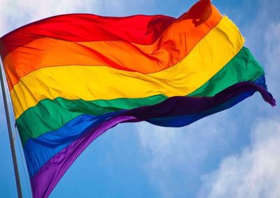 Conselho Municipal de Diversidade Sexual alterou a data em virtude do jogo da Sele&ccedil;&atilde;o Brasileira na Copa do Mundo; hor&aacute;rio e local est&atilde;o mantidos