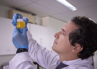 Dispositivo port&aacute;til de nanotecnologia mimetiza enzimas e muda de cor para indicar a quantidade do nutriente em alimentos