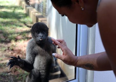 Atividades ocorrem em julho com ingressos via Sympla; arrecada&ccedil;&atilde;o apoia projetos de bem-estar animal e enriquecimento ambiental do espa&ccedil;o