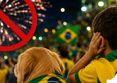 Lei Municipal pro&iacute;be artefatos com efeitos sonoros em espa&ccedil;os p&uacute;blicos e privados; apenas fogos de efeito visual s&atilde;o permitidos