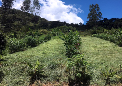 Recursos contemplam os campi de S&atilde;o Carlos, Araras e Sorocaba com foco em agricultura sustent&aacute;vel, forma&ccedil;&atilde;o de agentes e apoio a assentamentos rurais