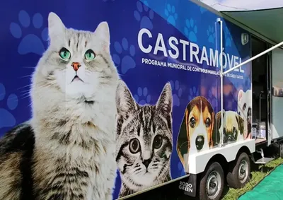 A&ccedil;&atilde;o oferece 400 vagas para c&atilde;es e gatos no Cidade Aracy; inscri&ccedil;&otilde;es devem ser feitas pela internet para o mutir&atilde;o que ocorre em agosto