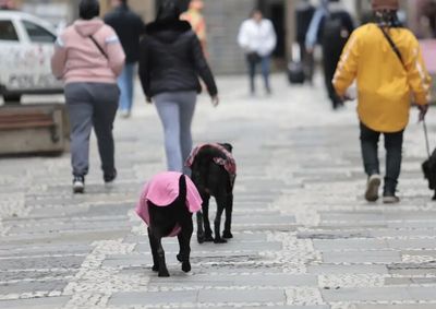 Massa de ar frio atinge o estado a partir desta ter&ccedil;a-feira. Temperaturas despencam em v&aacute;rias regi&otilde;es, exigindo aten&ccedil;&atilde;o redobrada com a sa&uacute;de e o bem-estar