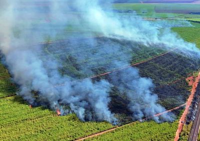 A&ccedil;&atilde;o coordenada pelo Plano de Aux&iacute;lio M&uacute;tuo (PAME) reuniu Corpo de Bombeiros, Defesa Civil e brigadas de usinas para extinguir grandes chamas na regi&atilde;o