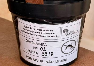 Munic&iacute;pio registra 404 casos confirmados da doen&ccedil;a em 2026; ovitrampas em resid&ecirc;ncias e com&eacute;rcios auxiliam no mapeamento das &aacute;reas de risco