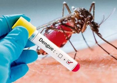 Boletins epidemiol&oacute;gicos divulgados nesta ter&ccedil;a-feira (18) apontam estabilidade nos dados de Covid-19 e forte redu&ccedil;&atilde;o nos casos de arboviroses em 2026