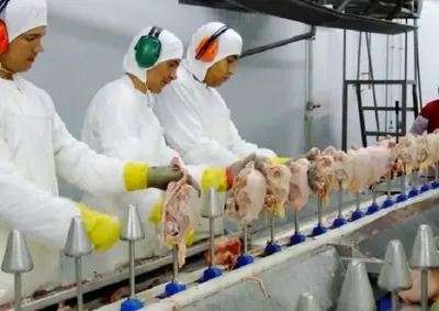 Oportunidades contemplam ind&uacute;stria, com&eacute;rcio e servi&ccedil;os, com destaque para o setor de abate de aves e vagas exclusivas para pessoas com defici&ecirc;ncia