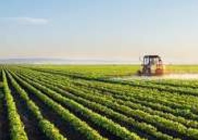 Unidade de S&atilde;o Carlos formaliza termo com a FUNARBE para desenvolver projeto voltado &agrave; adapta&ccedil;&atilde;o da agricultura frente &agrave;s mudan&ccedil;as clim&aacute;ticas
