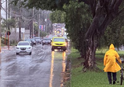 Boletim indica passagem de frente fria com previs&atilde;o de chuva e rajadas de vento entre esta sexta-feira (2) e a pr&oacute;xima ter&ccedil;a-feira (6)