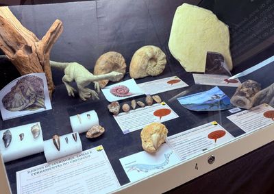 Acervo ganha pegadas encontradas em Araraquara, dentes pr&eacute;-hist&oacute;ricos e ossos do Ibirania parva; visita&ccedil;&atilde;o gratuita fica na Pra&ccedil;a Coronel Salles