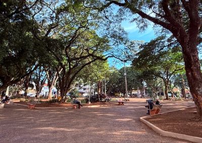 Prefeitura de S&atilde;o Carlos promove atra&ccedil;&otilde;es a partir das 15h, reunindo teatro infantil, o projeto Saltimbancos e discotecagem em vinil com DJ Tonelada