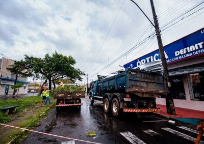Chuva de 79,4 mm provocou queda de &aacute;rvores, destelhamentos e apag&otilde;es na madrugada; Defesa Civil e CPFL garantiram funcionamento dos locais de vota&ccedil;&atilde;o.