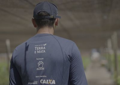 Ecopor&eacute; lan&ccedil;a produ&ccedil;&atilde;o audiovisual que retrata quatro anos de agricultura regenerativa em Rond&ocirc;nia