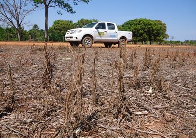 Durante o per&iacute;odo de vazio sanit&aacute;rio da soja a Idaron mant&eacute;m fiscaliza&ccedil;&atilde;o intensificada nas propriedades rurais