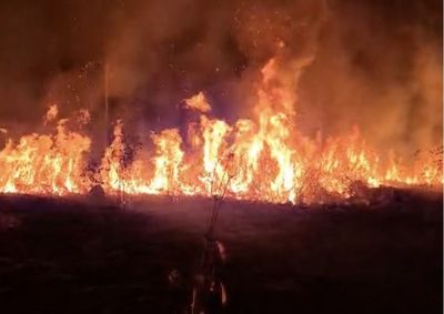Fogo foi registrado no sentido Seringueiras; popula&ccedil;&atilde;o deve evitar queimadas e acionar os Bombeiros ao identificar novos focos.