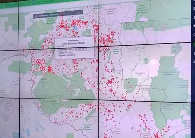 Dados do INPE confirmados pela Sedam mostram redu&ccedil;&atilde;o na &aacute;rea suprimida no estado entre agosto de 2025 e julho de 2026.