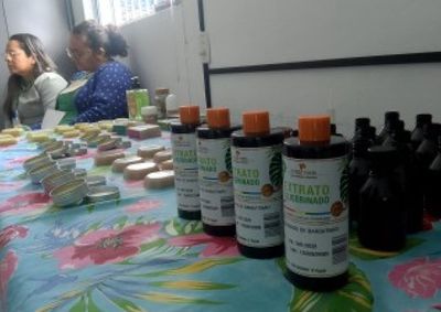 Rodas Empreendedoras reuniu 20 participantes em encontros sobre produ&ccedil;&atilde;o de cosm&eacute;ticos naturais, sustentabilidade e empreendedorismo