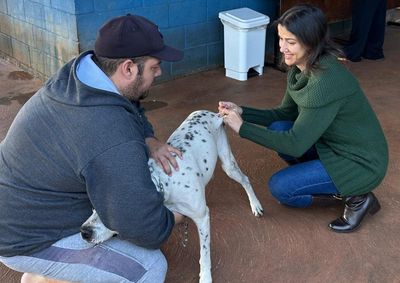 Imuniza&ccedil;&atilde;o acontece no dia 25 de junho e &eacute; fundamental para prevenir a raiva, doen&ccedil;a que pode afetar animais e seres humanos