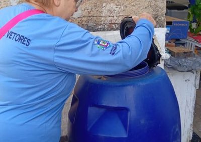 Avalia&ccedil;&atilde;o de Densidade Larv&aacute;ria registra &Iacute;ndice de Breteau de 3,7; Sa&uacute;de refor&ccedil;a combate ao mosquito e pede apoio da popula&ccedil;&atilde;o