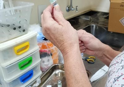 Campanha segue at&eacute; o fim de junho para toda a popula&ccedil;&atilde;o acima de 6 meses; cidade n&atilde;o registrou mortes por influenza em 2026