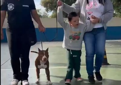 A&ccedil;&atilde;o reuniu projeto C&atilde;es que Curam, equipe Ra&ccedil;as de Peso e volunt&aacute;rios em atividade marcada por carinho, intera&ccedil;&atilde;o e quebra de preconceitos