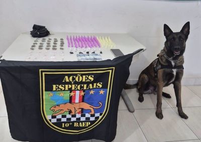Opera&ccedil;&atilde;o do 10&ordm; Baep no Parque Rosa e Silva resultou na apreens&atilde;o de coca&iacute;na, maconha e dry. Dois suspeitos foram conduzidos ao 2&ordm; DP e liberados ap&oacute;s depo