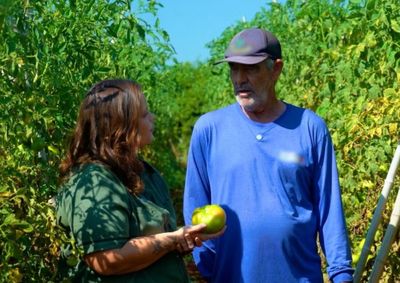 Fam&iacute;lia cultiva a fruta h&aacute; mais de seis d&eacute;cadas e mant&eacute;m viva uma atividade que marcou a hist&oacute;ria do munic&iacute;pio como um dos maiores polos produtores do pa&iacute;s