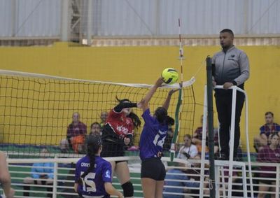 Finais das categorias feminina e masculina acontecem no CIE Bordon e prometem reunir atletas e torcedores em uma grande festa do esporte.