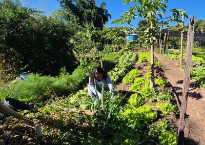 ALI Rural oferece acompanhamento especializado por 12 meses para produtores rurais e empreendedores do agroneg&oacute;cio