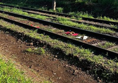 Caso chamou a aten&ccedil;&atilde;o de quem passava pelo local na manh&atilde; desta quinta-feira (24); circunst&acirc;ncias das mortes ainda n&atilde;o foram esclarecidas