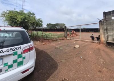 Empresa tinha 351 metros c&uacute;bicos de produtos florestais registrados no sistema, mas n&atilde;o possu&iacute;a estoque f&iacute;sico no local
