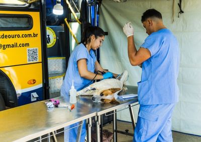 Procedimento gratuito ser&aacute; realizado em 26 de setembro, no Monte Alegre I; inscri&ccedil;&otilde;es seguem at&eacute; o preenchimento das vagas