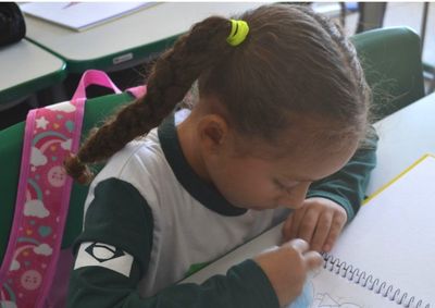 Documento vai orientar pol&iacute;ticas educacionais do munic&iacute;pio pelos pr&oacute;ximos dez anos e ter&aacute; etapas de participa&ccedil;&atilde;o da comunidade antes do envio &agrave; C&acirc;mara