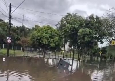 Paul&iacute;nia registrou 73 mm de chuva em apenas 27 minutos, com 14 &aacute;rvores derrubadas, alagamentos e ventos de at&eacute; 72 km/h