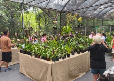 Interessados em comercializar orqu&iacute;deas, artesanato e alimentos podem se cadastrar at&eacute; 30 de novembro; evento acontece nos dias 5 e 6 de dezembro
