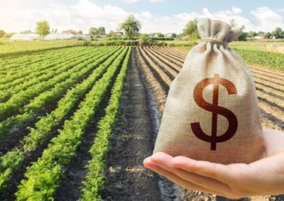 Novo programa prev&ecirc; facilidades para regularizar d&eacute;bitos e retomar acesso ao cr&eacute;dito, beneficiando 1,35 milh&atilde;o de produtores com pend&ecirc;ncias financeiras