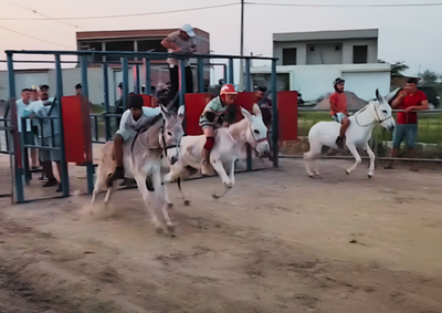 Evento acontece neste domingo (30), com cavalgada, competi&ccedil;&atilde;o, premia&ccedil;&atilde;o at&eacute; o 8&ordm; lugar e shows de Malvadona e Vin&iacute;cius e os Desapegados