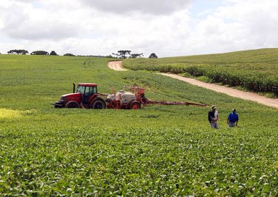 Levantamento aponta movimenta&ccedil;&atilde;o de US$ 2,94 bilh&otilde;es na balan&ccedil;a comercial do Estado